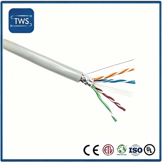 High Quality Hot Sale FTP CAT6A Cable for Home
